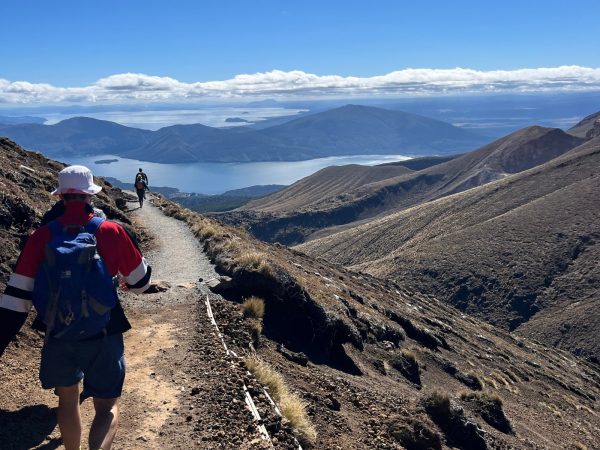 Auckland to Queenstown